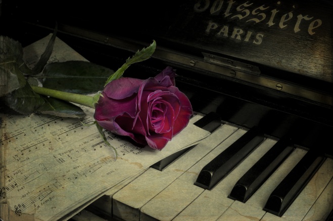pianino-roza-cvetok-vintazh